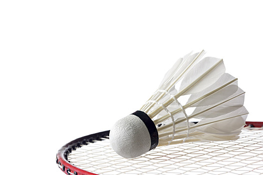 拉坦迎来澳 拉坦迎来澳